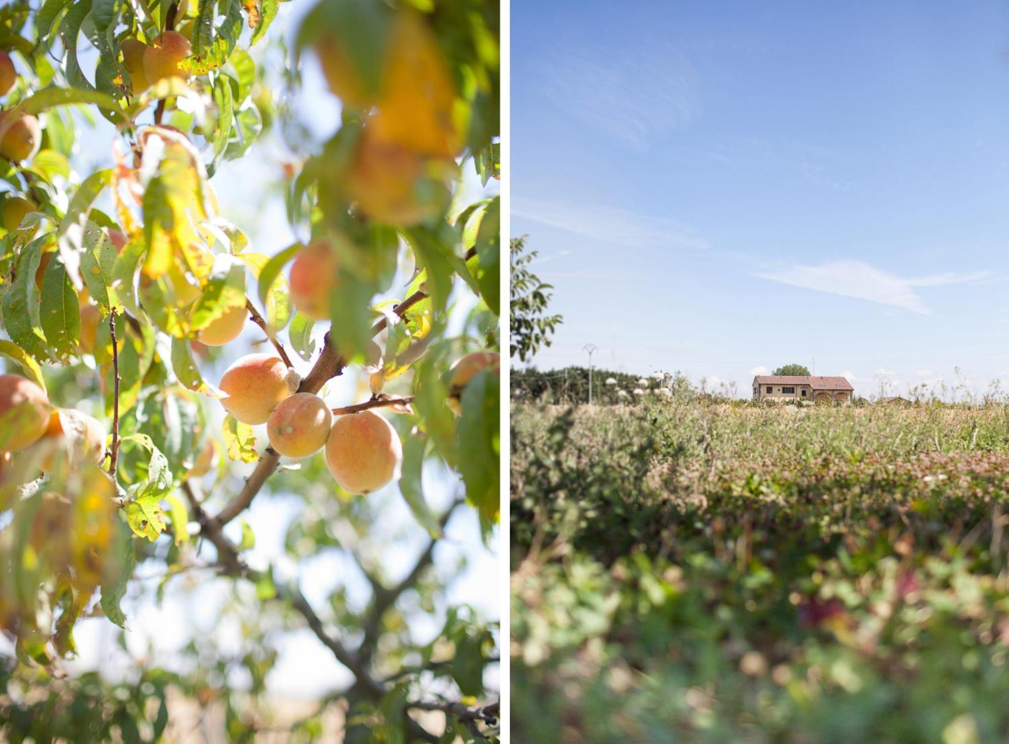 Agriturismo Il Mondo Pension Parma Buitenkant foto