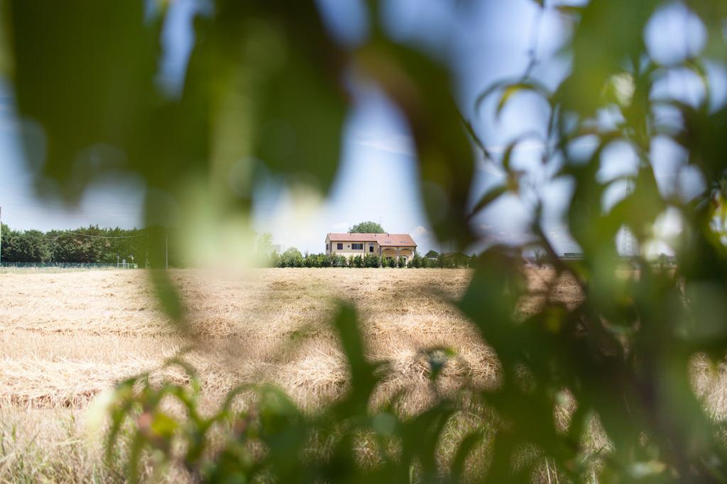 Agriturismo Il Mondo Pension Parma Buitenkant foto